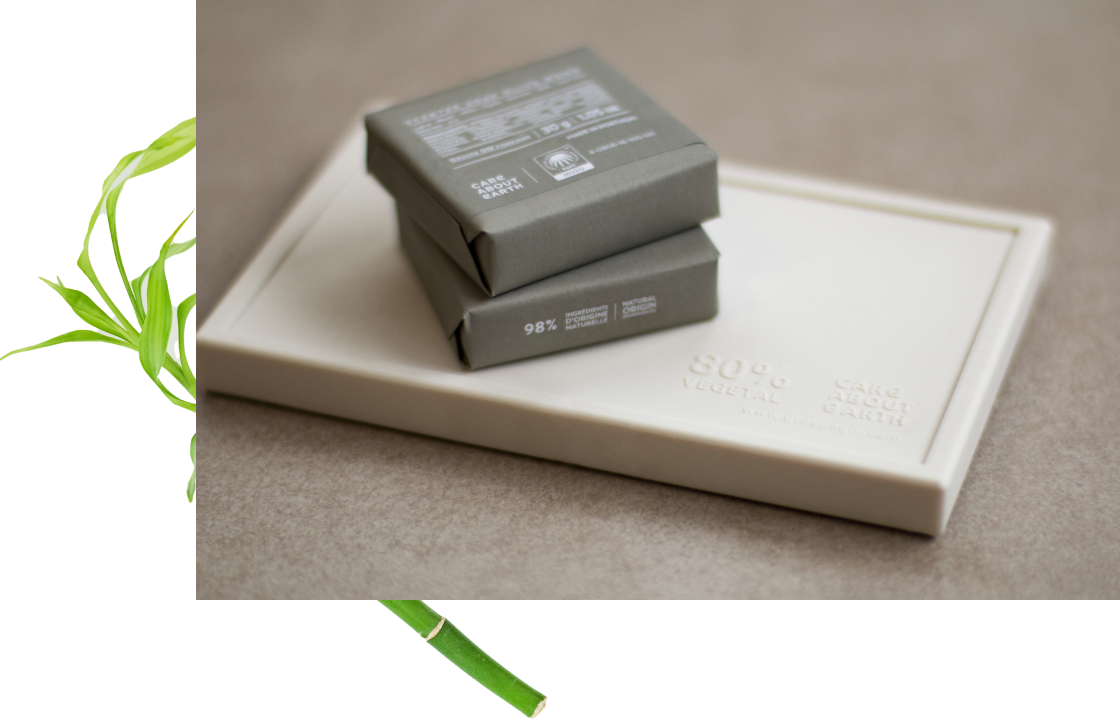 Two eco-friendly soap boxes in gray packaging sit on a light-colored tray, accompanied by a green bamboo plant in the background.