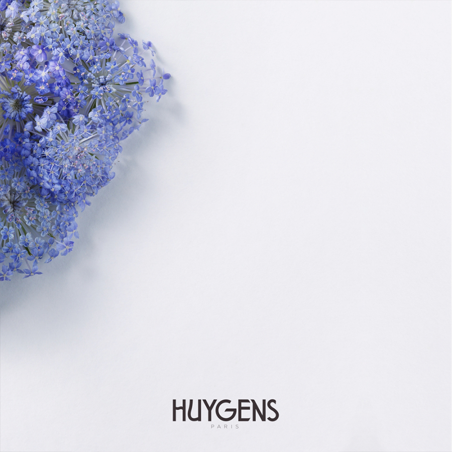A cluster of delicate blue flowers arranged in the corner of a minimal white background with the text "HUYGENS PARIS" centered below.