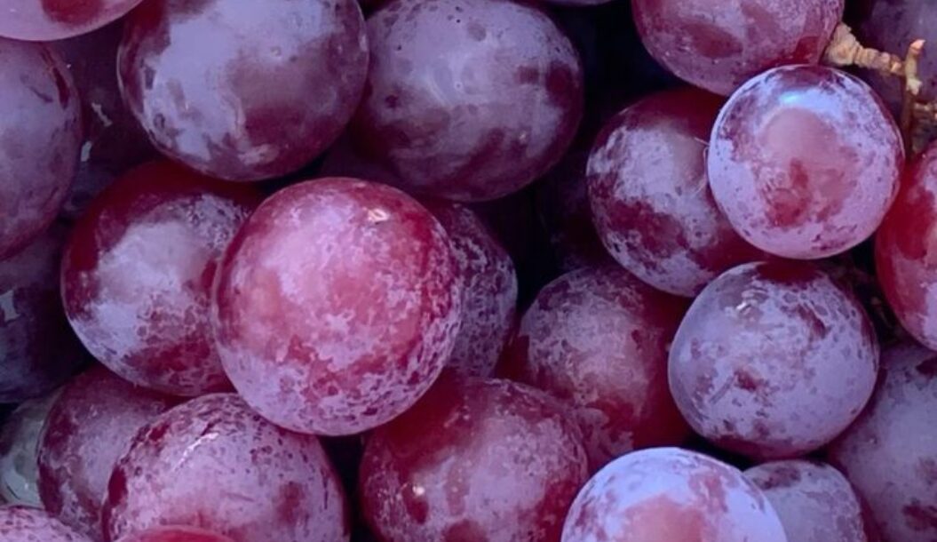 A close-up of a cluster of red and purple grapes, showcasing their smooth, shiny skin and natural variations in color.