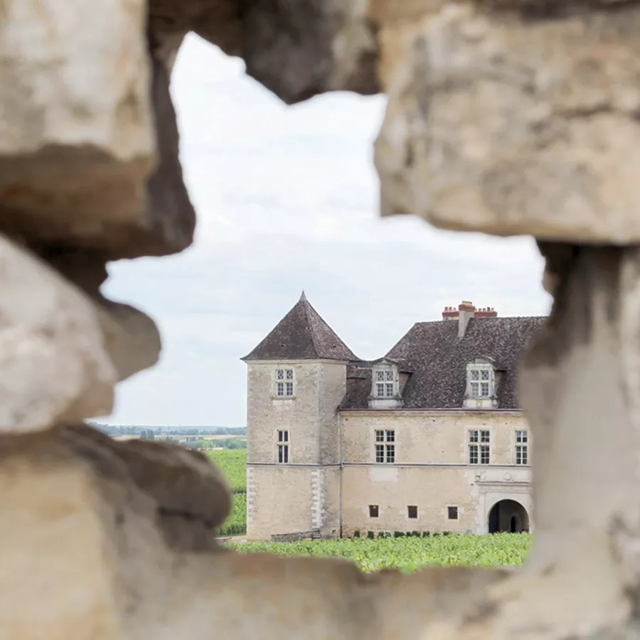 A view of a stone castle framed by a weathered stone wall, with green vineyards in the background under a cloudy sky.