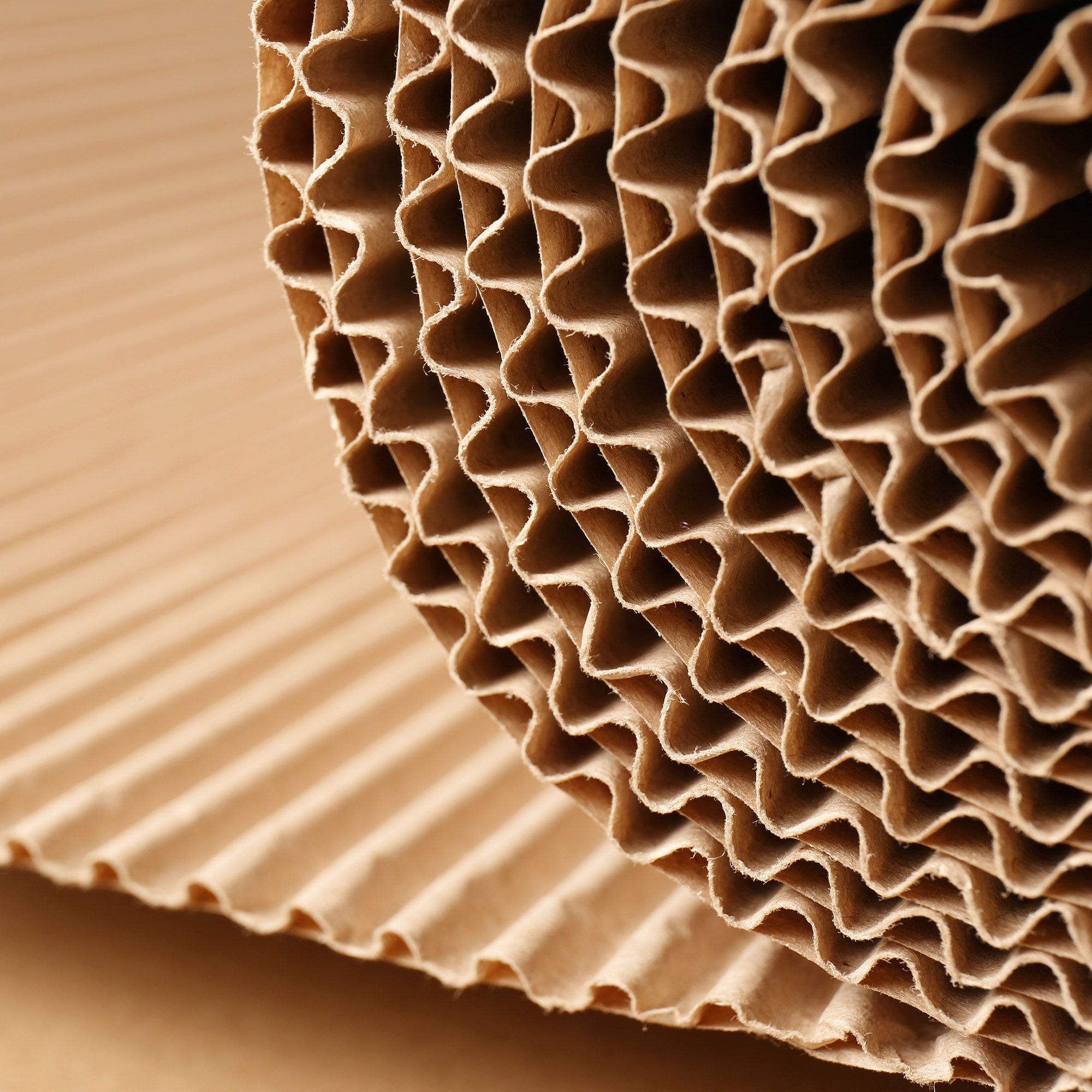 Close-up of textured, corrugated cardboard, showcasing its wavy layers and folds. The background is softly blurred, highlighting the paper's intricate patterns.