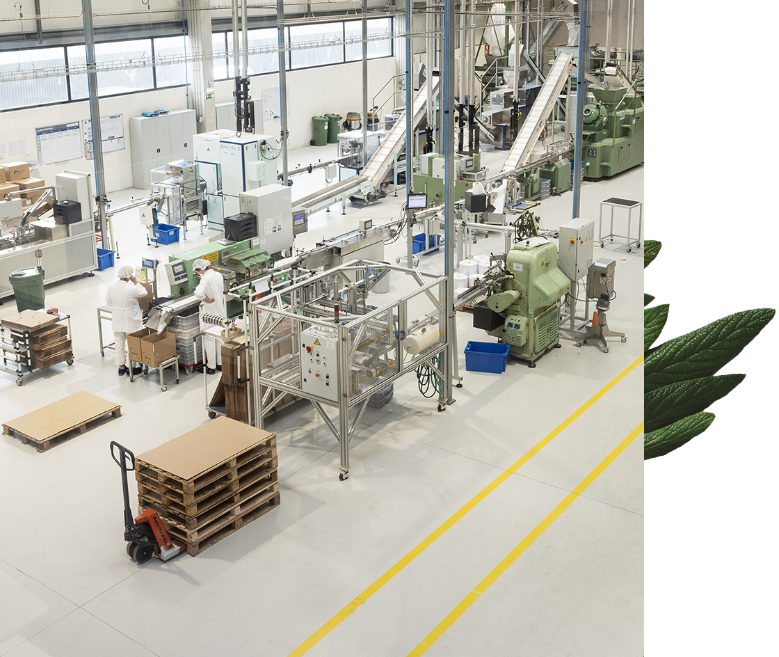 A spacious industrial facility with machinery and production lines, where workers in white uniforms are operating equipment and handling materials. There are pallets stacked in one area, with a clean and orderly workspace.