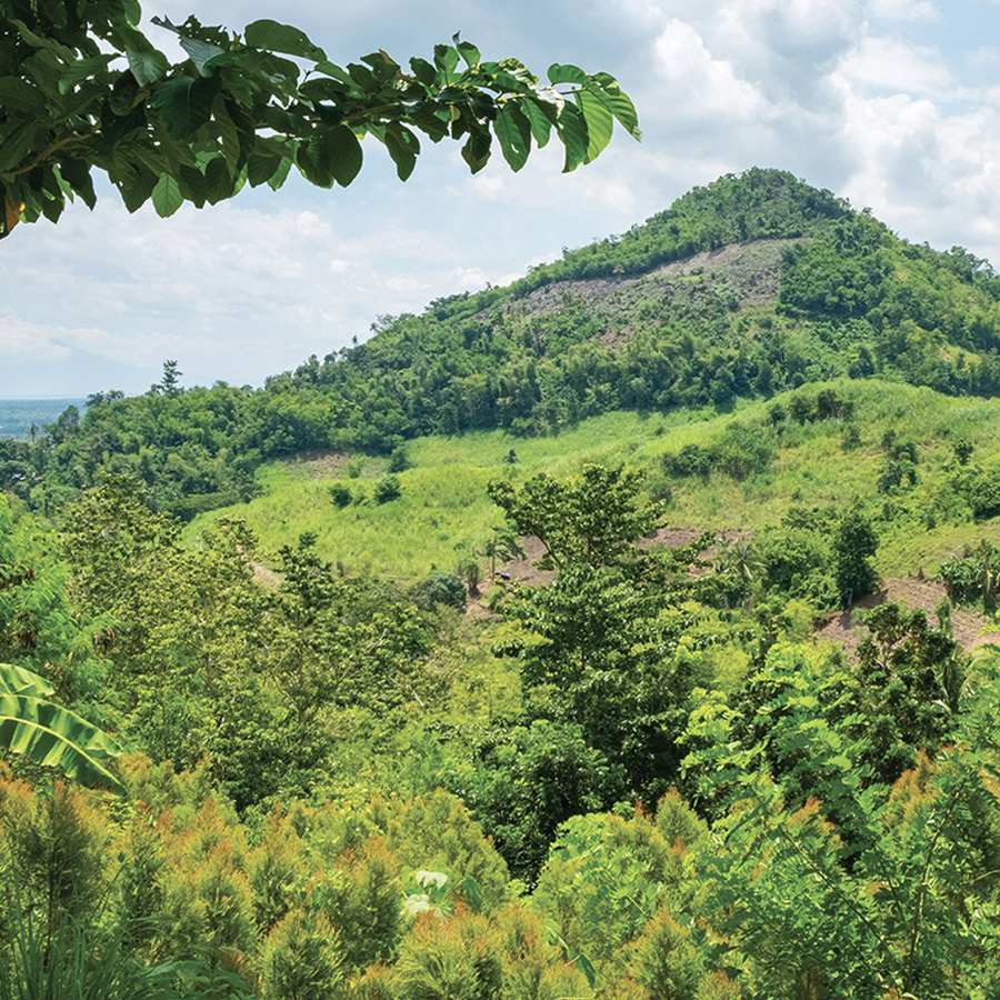 A lush, green hillside with a gently sloping peak, surrounded by various trees and vegetation under a partly cloudy sky.