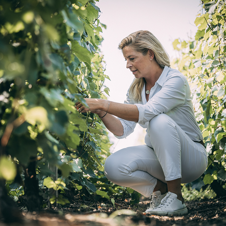 A woman kneels among grapevines, inspecting the plants while wearing a light shirt and white pants. Sunlight filters through the leaves, creating a serene vineyard atmosphere.