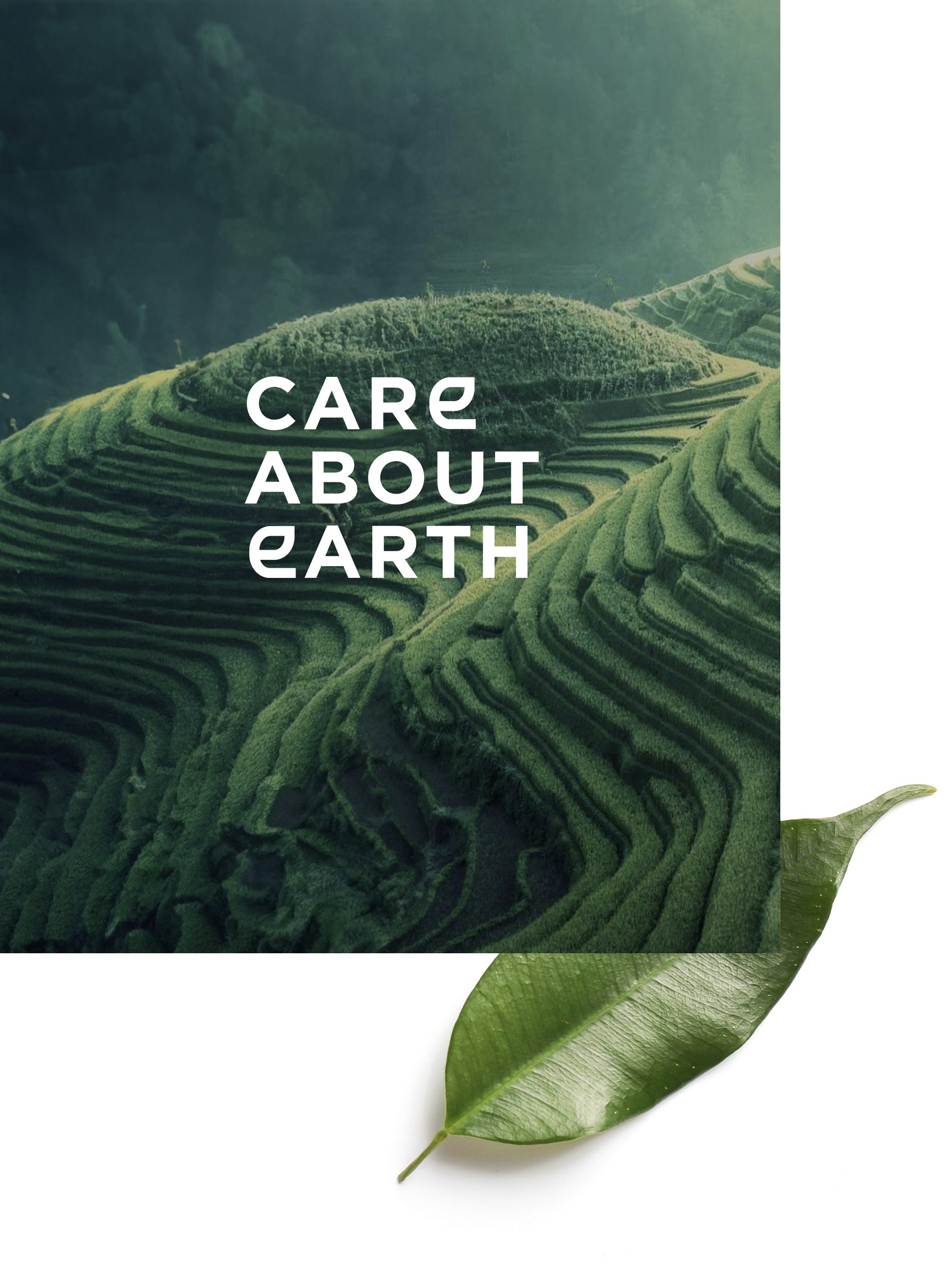 Aerial view of lush, terraced green hills with the text "CARE ABOUT EARTH" overlaying the image, accompanied by a vibrant green leaf at the bottom.