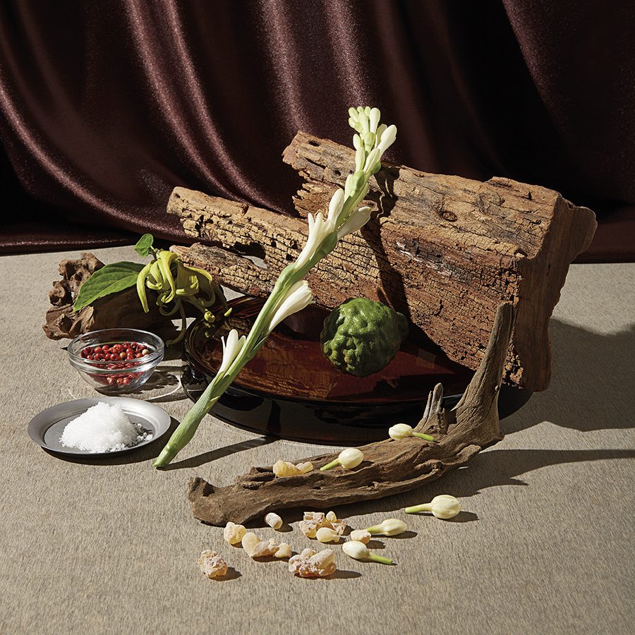 A composition featuring pieces of wood, a green fruit, several flowers, and containers of salt and red berries against a textured background. The scene is illuminated softly, highlighting the natural textures and colors.