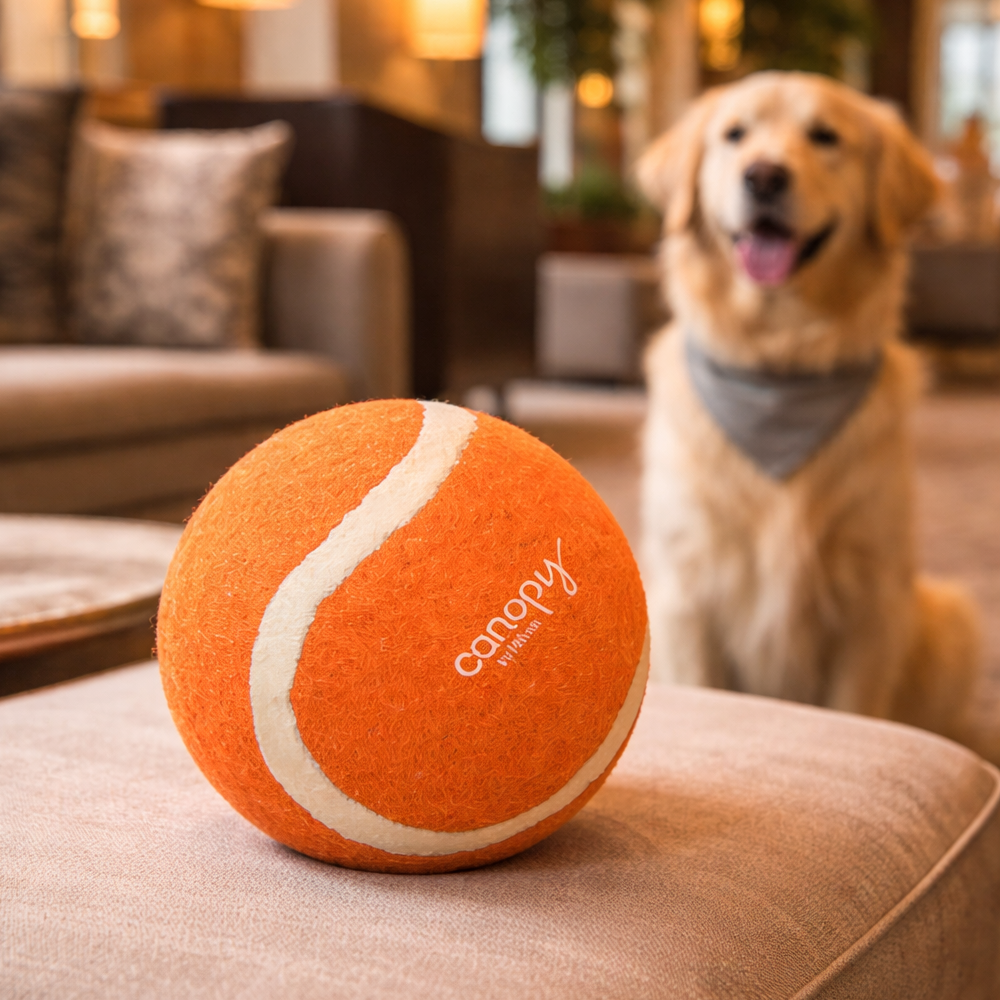 Branded tennis ball for dogs displayed in a hotel lounge.